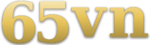 65vn logo